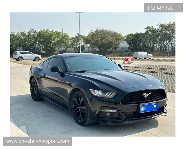 野马跑卫状态回升，进攻火力提升，野马跑赛道